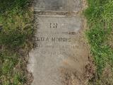 image of grave number 831062